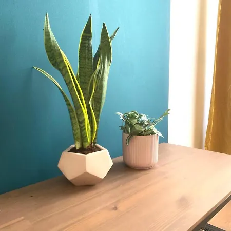 Cosy - Saint Cybard - Centre * Angoulême